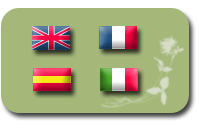 Traduzioni inglese francese spagnolo 