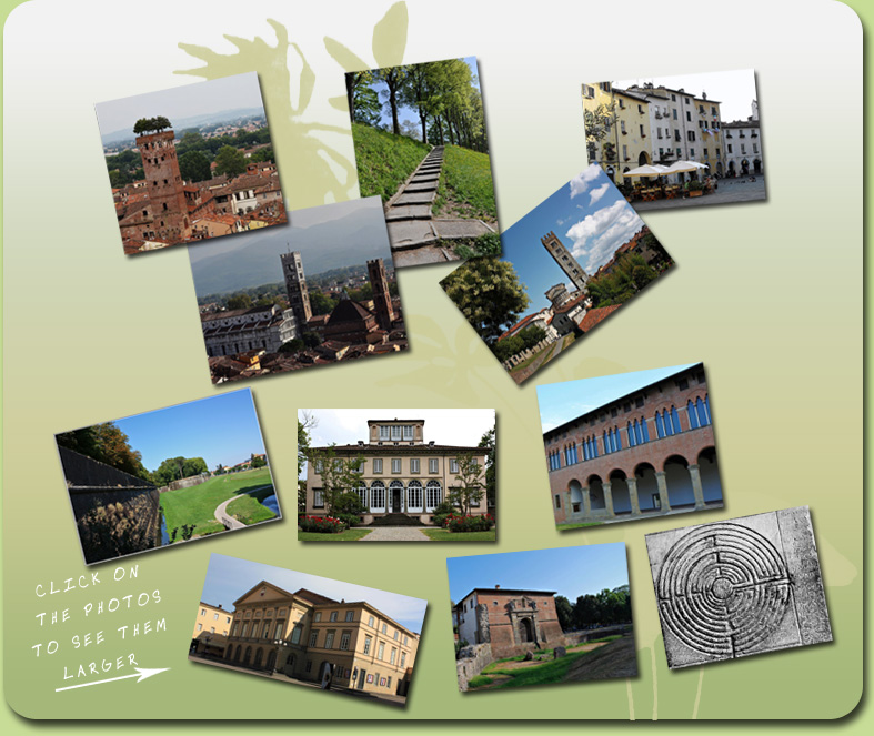 Lucca » B&B Room Rental Come a casa in Lucca